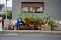 Urz�d Miejski w Wolsztynie