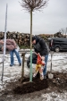 Urz�d Miejski w Wolsztynie